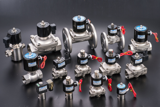 Elettrovalvola a solenoide d'ottone elettrica idraulica 12V 24V 110V 220V AC DC Water Copper Coil