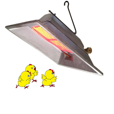 Controllo automatico della temperatura del riscaldatore a infrarossi per chioccia a gas naturale GPL per pollo