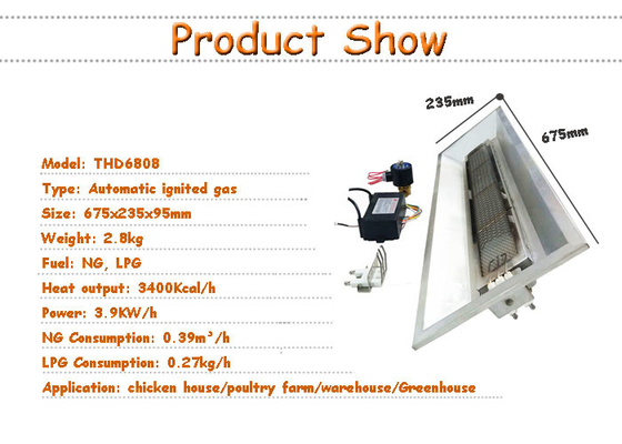 Incubatrice HeaterAutomatic Chick Piglet Birds 5000pa del gas dell'azienda avicola GPL