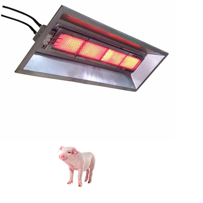 Bruciatore per pollame per pollame a gas GPL 3,7 kg 675 * 235 * 95 mm