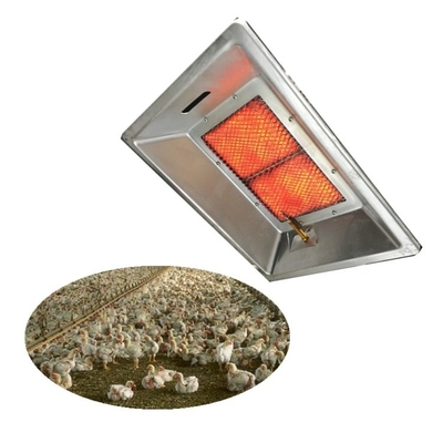 Riscaldatore a gas a infrarossi per pollame Attrezzatura per zootecnia THD2606