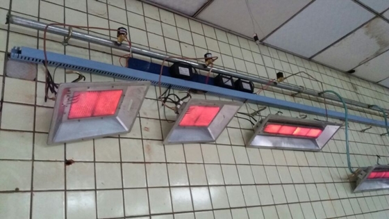 Lampada di calore dell'incubatrice del gas del pollo Heater For Chicks infrarossa THD2606