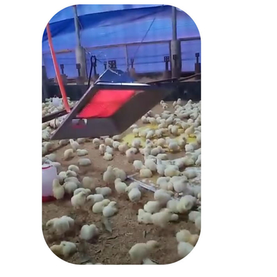 Radiatore dell'interno dell'incubatrice del pollo del propano dell'attrezzatura dell'azienda avicola per pollame