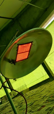 Riscaldatore per pollame a risparmio energetico GPL NG Biogas Gas Pollame Attrezzatura per pollame