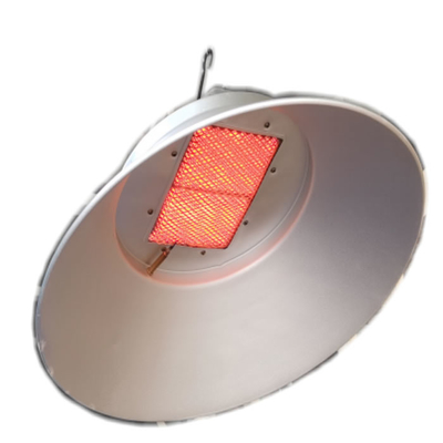 Grigio di argento infrarosso di Heater Energy Saving 50hz dell'incubatrice di Radaint