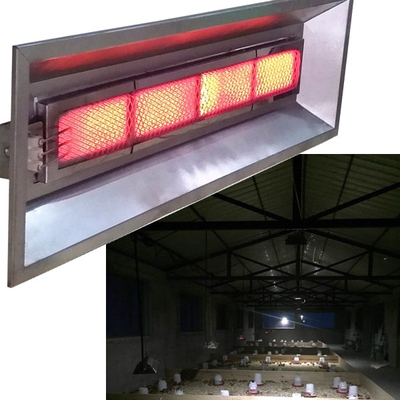 Incubatrice infrarossa Heater Chick Broiler Heating Systems 220VAC della Camera di pollo del biogas
