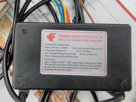 24V 3V 110V 220V Scatola di controllo dell'accensione del bruciatore dell'accenditore a impulsi elettrici 50Hz