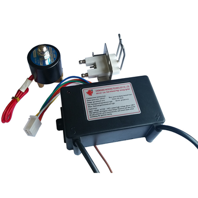 24V 3V 110V 220V Scatola di controllo dell'accensione del bruciatore dell'accenditore a impulsi elettrici 50Hz