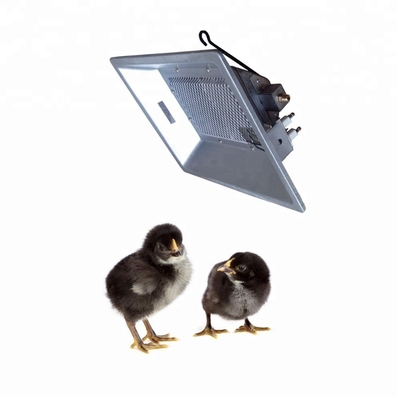 Tipo d'attaccatura PA infrarosso dell'azienda agricola 3000 di Heater For Chicken And Pig dell'incubatrice del biogas