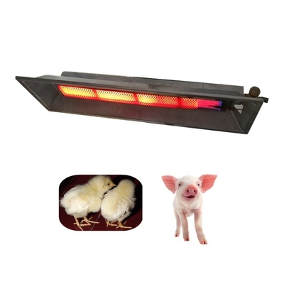 Lampada di calore per pollame a GPL 2,8 kg per una distribuzione efficace del calore 675*235*95 mm
