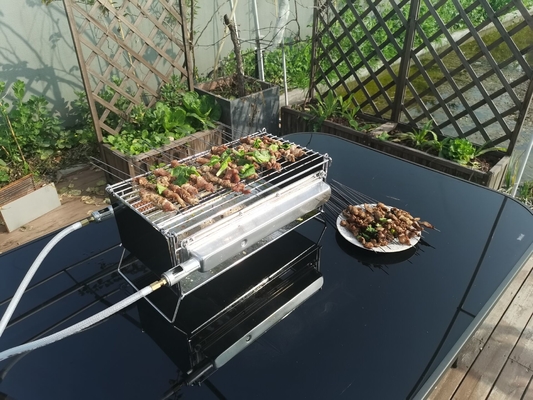 Griglia portatile economizzatrice d'energia del gas con il bruciatore catalitico infrarosso per il BARBECUE