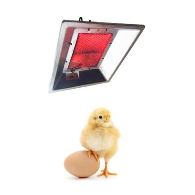 Lampada di calore dell'incubatrice del gas del pollo Heater For Chicks infrarossa THD2606